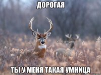 Дорогая ты у меня такая умница