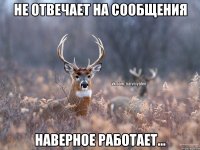 Не отвечает на сообщения Наверное работает...