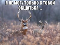 я не могу только с тобой общаться ... 