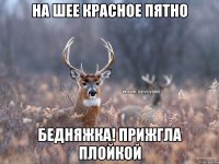 на шее красное пятно бедняжка! прижгла плойкой