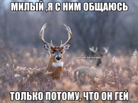 Милый ,Я с ним общаюсь только потому, что он гей