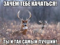 Зачем тебе качаться! Ты и так самый лучший!