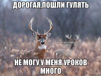 Дорогая,пошли гулять не могу,у меня уроков много