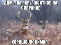 ДИМ Я НА ПАРУ ЧАСИТКОВ НА СОБРАНИЕ ХОРОШО ЛЮБИМАЯ*