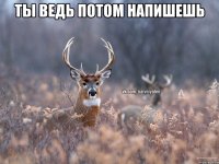 Ты ведь потом напишешь 