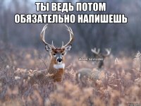 Ты ведь потом обязательно напишешь 