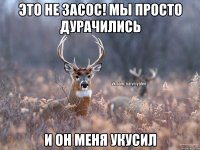 Это не засос! Мы просто дурачились И он меня укусил