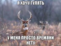 Я хочу гулять у меня просто времяни нету