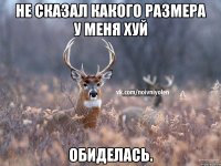 Не сказал какого размера у меня хуй Обиделась.