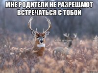 мне родители не разрешают встречаться с тобой 