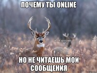 почему ты online но не читаешь мои сообщения