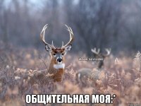  Общительная моя:*