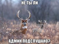 НЕ ТЫ ЛИ АДМИН ПОДСЛУШАНО?