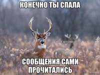 Конечно ты спала сообщения сами прочитались