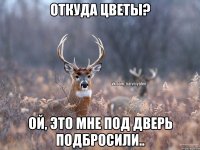 Откуда цветы? Ой, это мне под дверь подбросили..