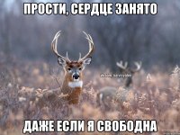 Прости, сердце занято даже если я свободна