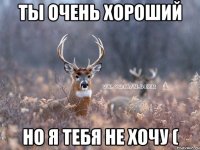 Ты очень хороший Но я тебя не хочу (