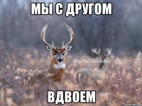 МЫ С ДРУГОМ ВДВОЕМ