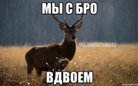 МЫ С БРО ВДВОЕМ