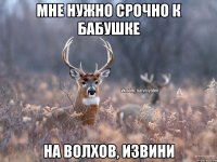 Мне нужно срочно к бабушке На Волхов, извини