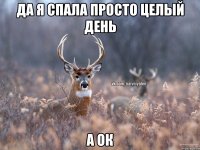 да я спала просто целый день а ок