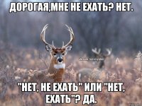 Дорогая,мне не ехать? Нет. "Нет, не ехать" или "Нет, ехать"? Да.