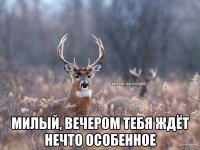  милый, вечером тебя ждёт нечто особенное