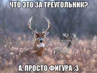 что это за треугольник? а, просто фигура :3