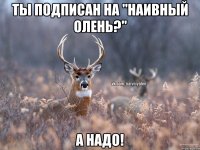 Ты подписан на "Наивный олень?" А надо!