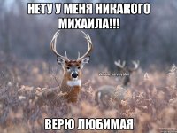 нету у меня никакого Михаила!!! верю любимая