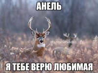 Анель Я Тебе Верю Любимая