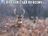 Я ПОХОЖ СУДЯ ПО ВСЕМУ 