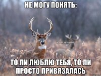 Не могу понять: то ли люблю тебя, то ли просто привязалась