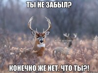 Ты не забыл? Конечно же нет, что ты?!