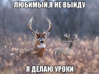 любимый,я не выйду я делаю уроки