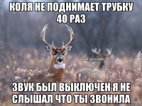 коля не поднимает трубку 40 раз звук был выключен я не слышал что ты звонила