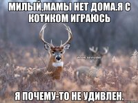 Милый,мамы нет дома.я с котиком играюсь я почему-то не удивлен.