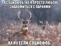 Я социофоб! Но я просто люблю знакомиться с парнями! Ах ну если социофоб...