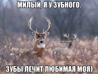 Милый, Я у зубного. Зубы лечит Любимая моя)