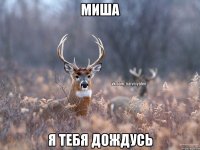 Миша Я тебя дождусь