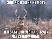 Зай, я сегодня не могу Я к бабушке уезжаю, буду через пару дней..