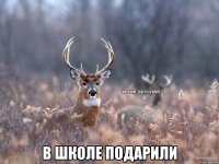  В школе подарили