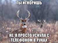 Ты игноришь Не, я просто уснула с телефоном в руках