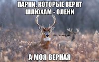 парни, которые верят шлюхам - олени а моя верная