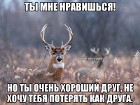 Ты мне нравишься! Но ты очень хороший друг, не хочу тебя потерять как друга.