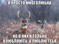 я просто многолюбка но в них я только влюбляюсь, а люблю тебя