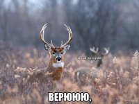  Верююю.