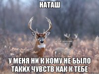 Наташ у меня ни к кому не было таких чувств как к тебе