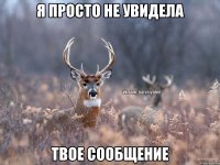 Я просто не увидела твое сообщение