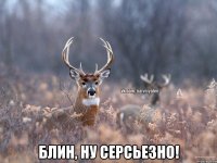  Блин, ну серсьезно!